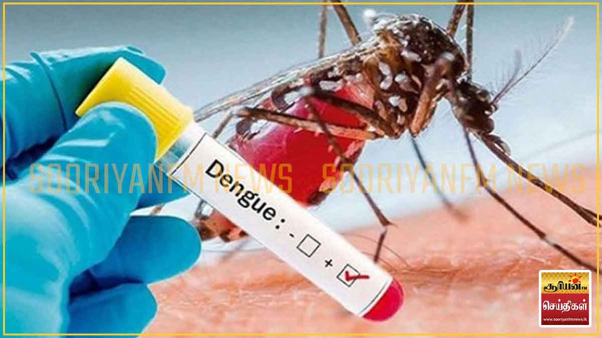 டெங்கு அபாய எச்சரிக்கை: 14 மாவட்டங்களில் 538 கிராம உத்தியோகத்தர் பிரிவுகள் அதிஅபாய வலயங்களாக அறிவிப்பு