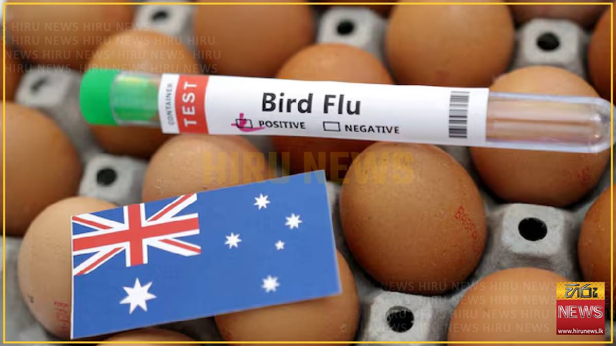  Australia ramps up bird flu testing as PNG blocks poultry imports