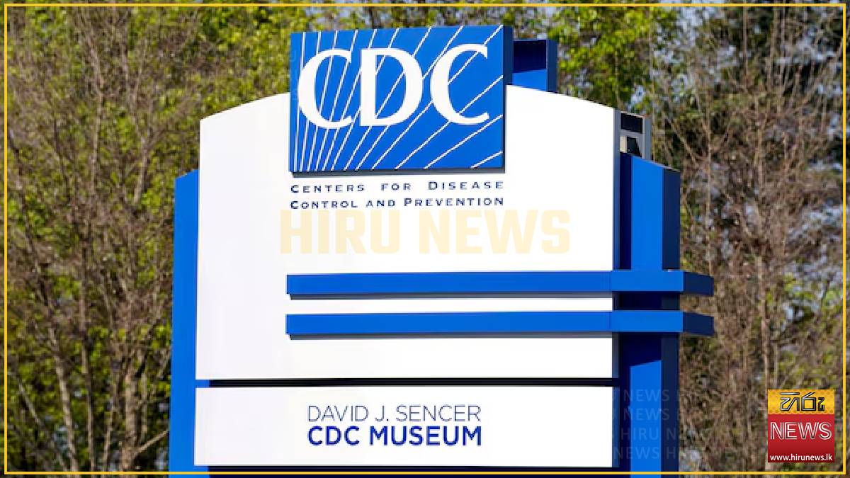 US CDC to end hantavirus response, WSJ reports