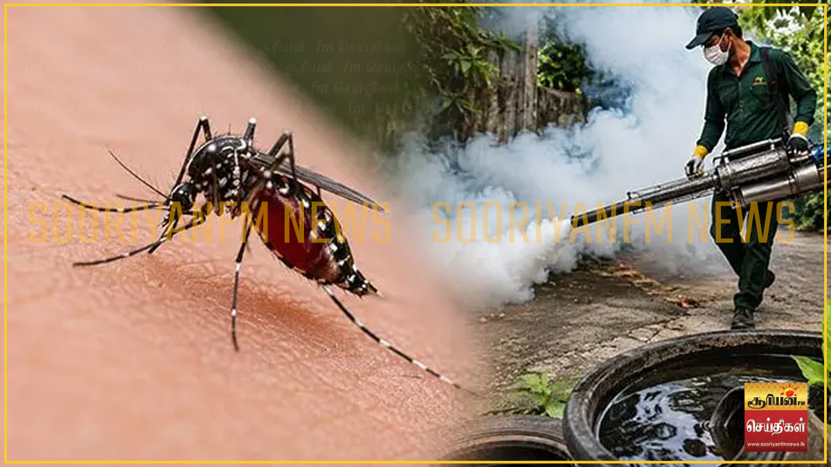 டெங்கு ஒழிப்பு - ஜனாதிபதி செயலகத்தினால் விசேட சுற்றறிக்கை வெளியீடு