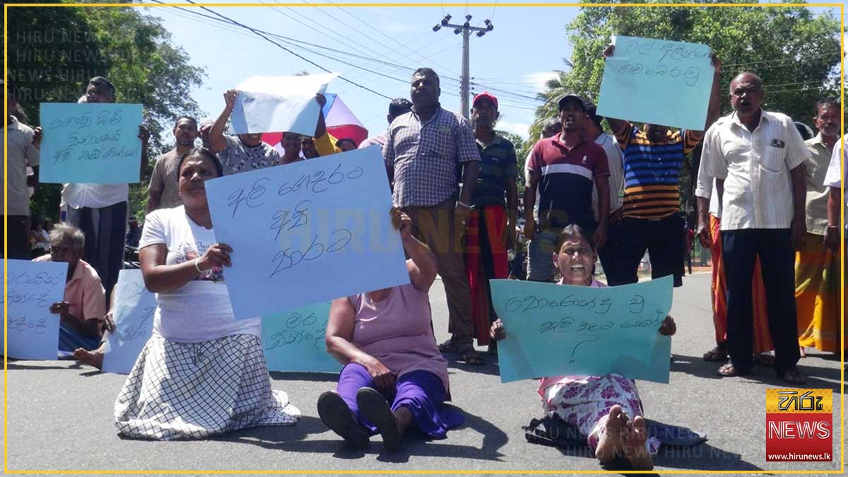 වන අලි තර්ජනයට විසඳුම් ඉල්ලා දඹුල්ලේදී ජනතාව උද්ඝෝෂණයක!