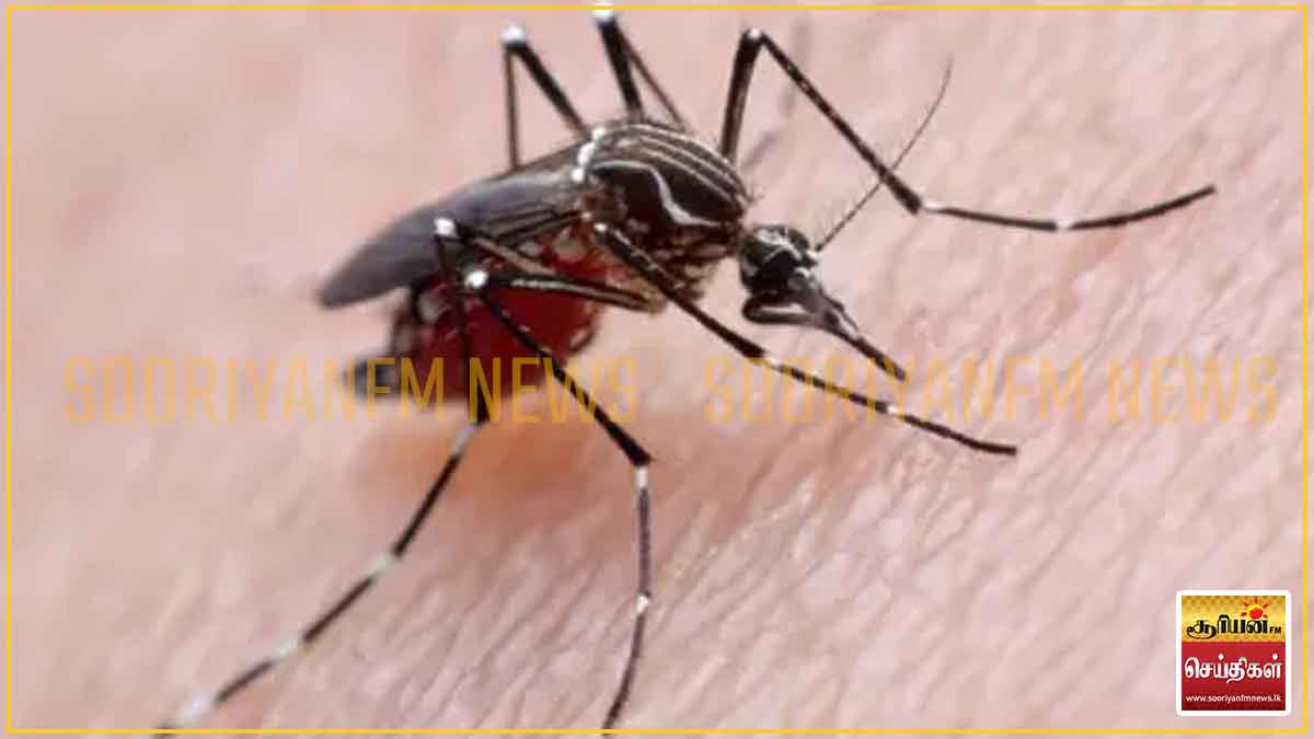 டெங்கு கட்டுப்பாட்டை மீறுகிறதா? சுகாதாரத் துறையின் அவசர எச்சரிக்கை