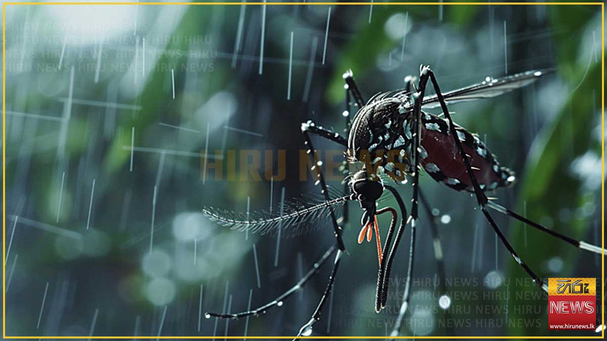 ඩෙංගු බෝ කළ 5000කට නඩු