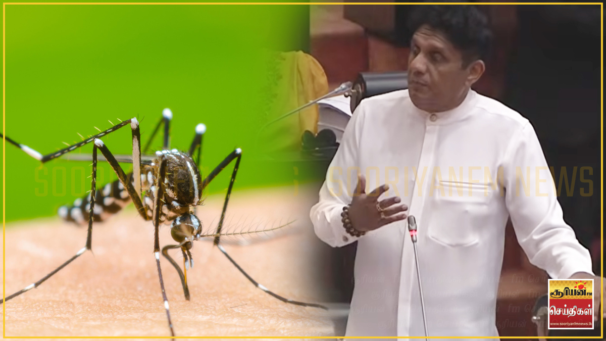 நாட்டில் டெங்கு அதிகரிப்பு: அரசாங்கத்தை எச்சரிக்கும் சஜித் பிரேமதாச!