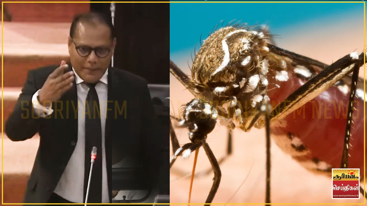 அமைச்சர்கள் எங்கே? - நாடாளுமன்றத்தில் எதிர்க்கட்சியின் விசனம்