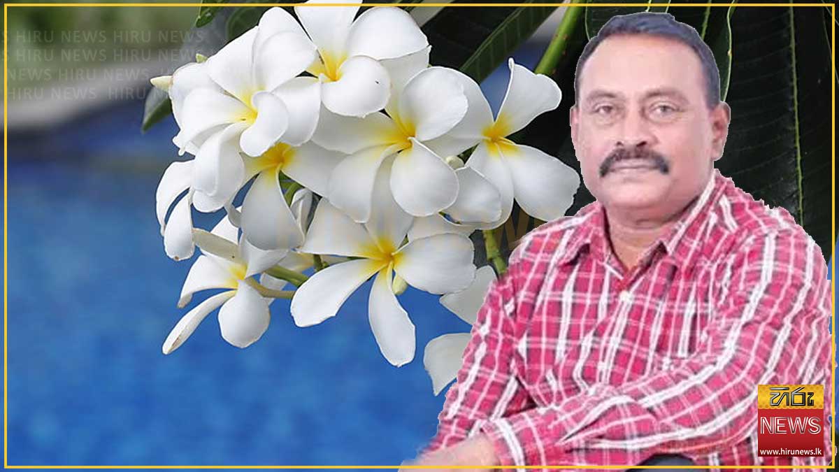 ප්‍රවීණ රංගන ශිල්පී සමන් අල්මේදා අභාවප්‍රාප්ත වෙයි