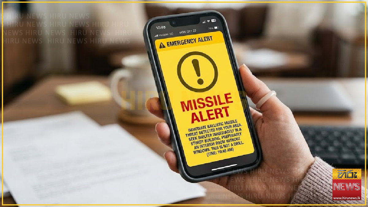 System glitch triggers false warning in UAE
