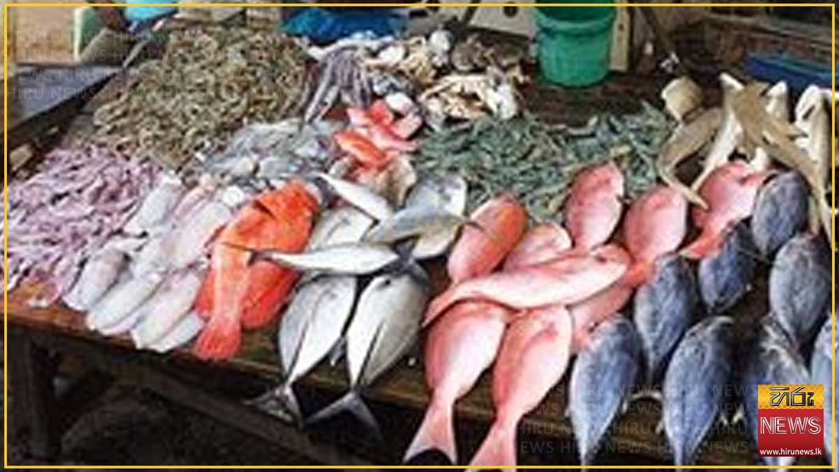 පෑලියගොඩ මාළු මිල පහතට