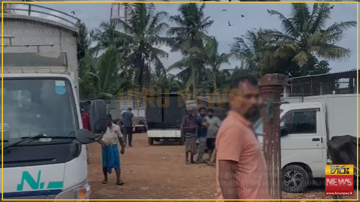 පොහොයට මස් විකුණන්න ගිය ගව ඝාතකාගාරයක් වටලයි