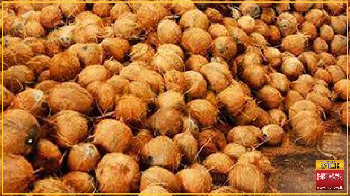 $3 billion export goal set for coconut and food industries