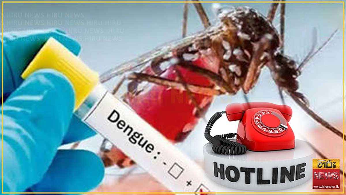 ඩෙංගු තොරතුරු සහ පැමිණිලි සඳහා ක්ෂණික ඇමතුම් අංකයක්