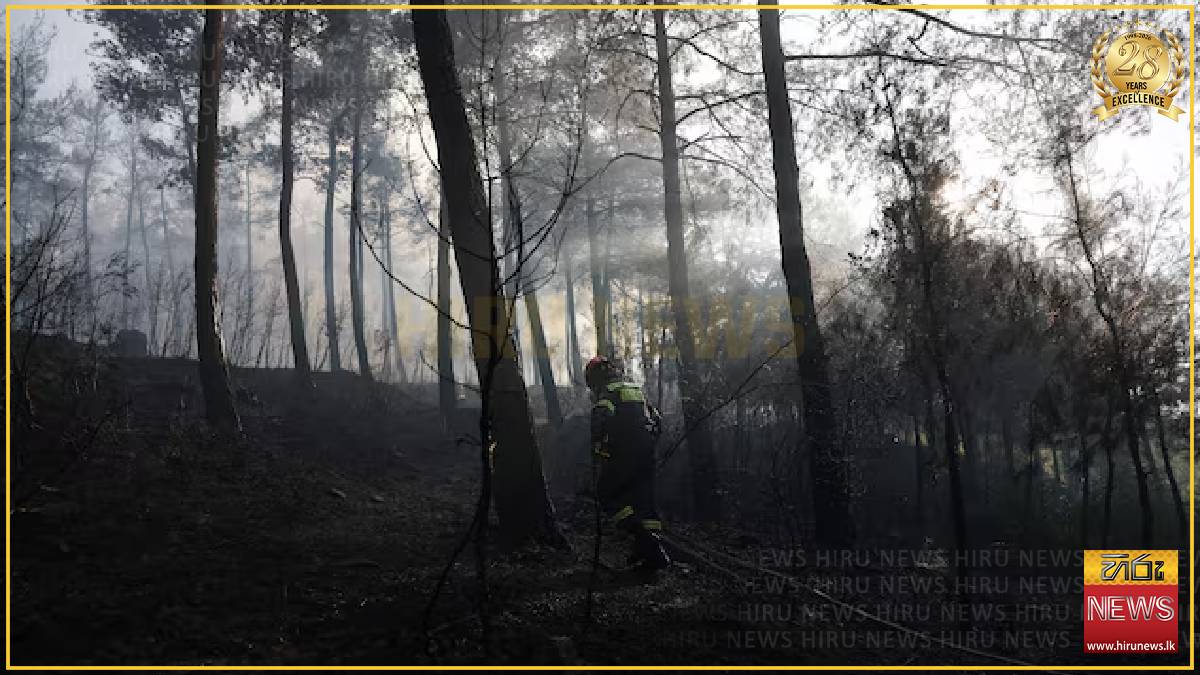 Two dead after wildfire guts house in northern Greece