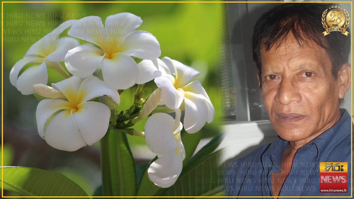 ප්‍රවීණ රංගන ශිල්පි ගාමිණි සමරකෝන් අභාවප්‍රාප්ත වෙයි