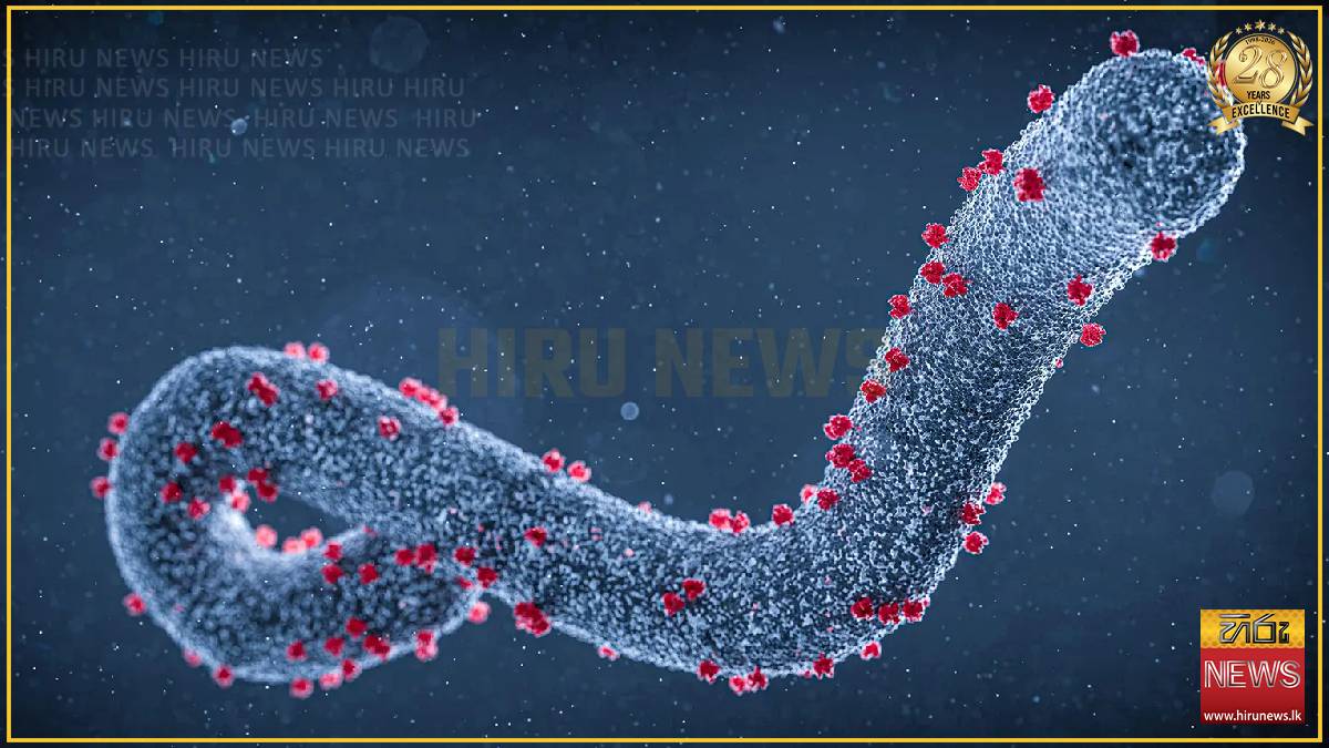 Africa CDC confirms isolated Marburg case in Uganda