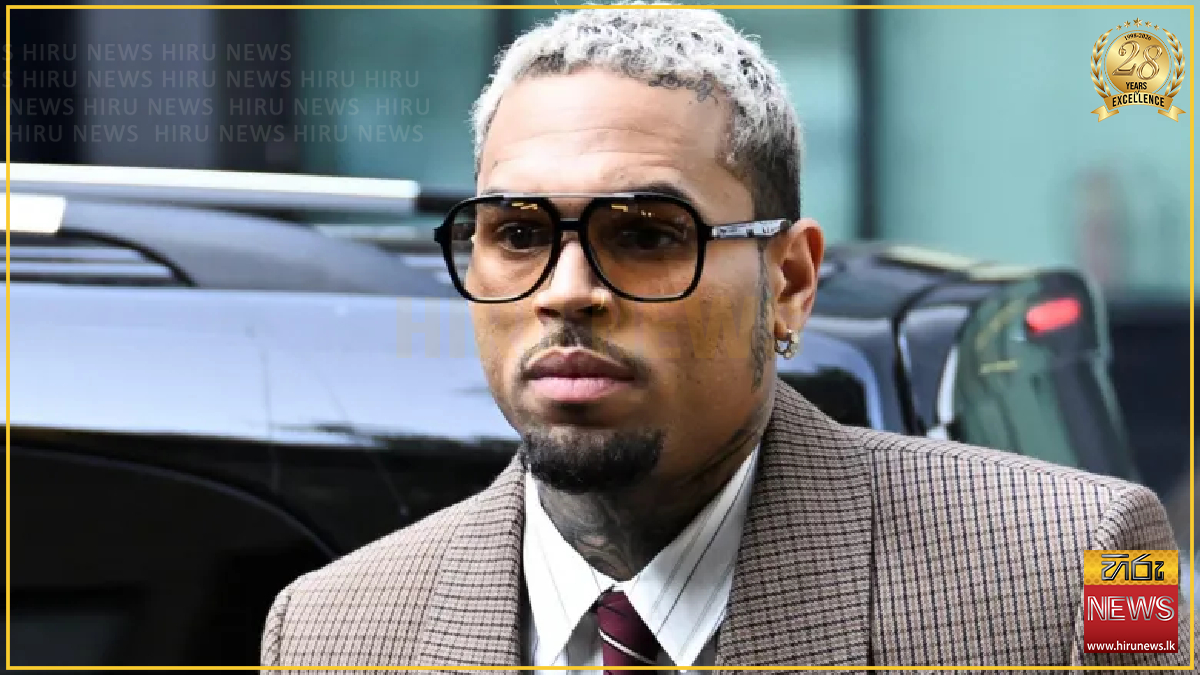 Chris Brown loses dog attack case, ordered to pay USD 13m