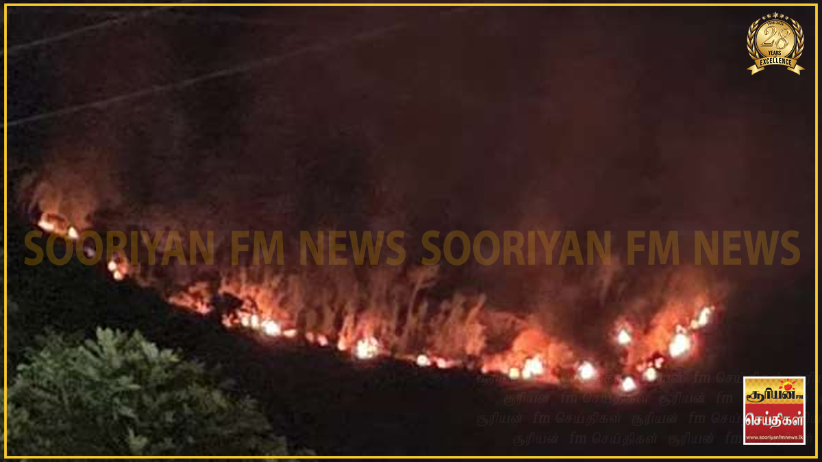 பதுளை அலுகொல்ல காட்டுத் தீ : இராணுவ ஆயுதக் களஞ்சியத்திற்கு ஆபத்து