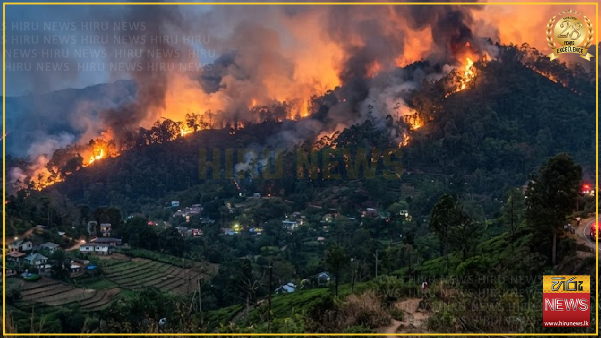 Badulla forest fire destroys nearly 20 acres