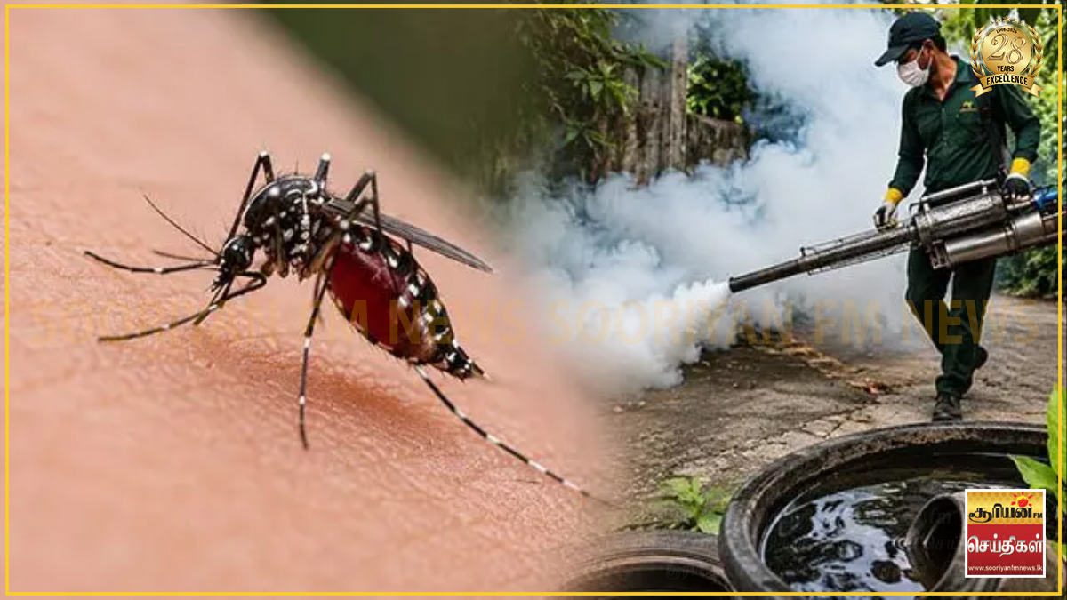 தீவிரமடையும் டெங்கு - இன்று முதல் 3 நாட்களுக்கு நாடு தழுவிய டெங்கு ஒழிப்புத் திட்டம் ஆரம்பம்