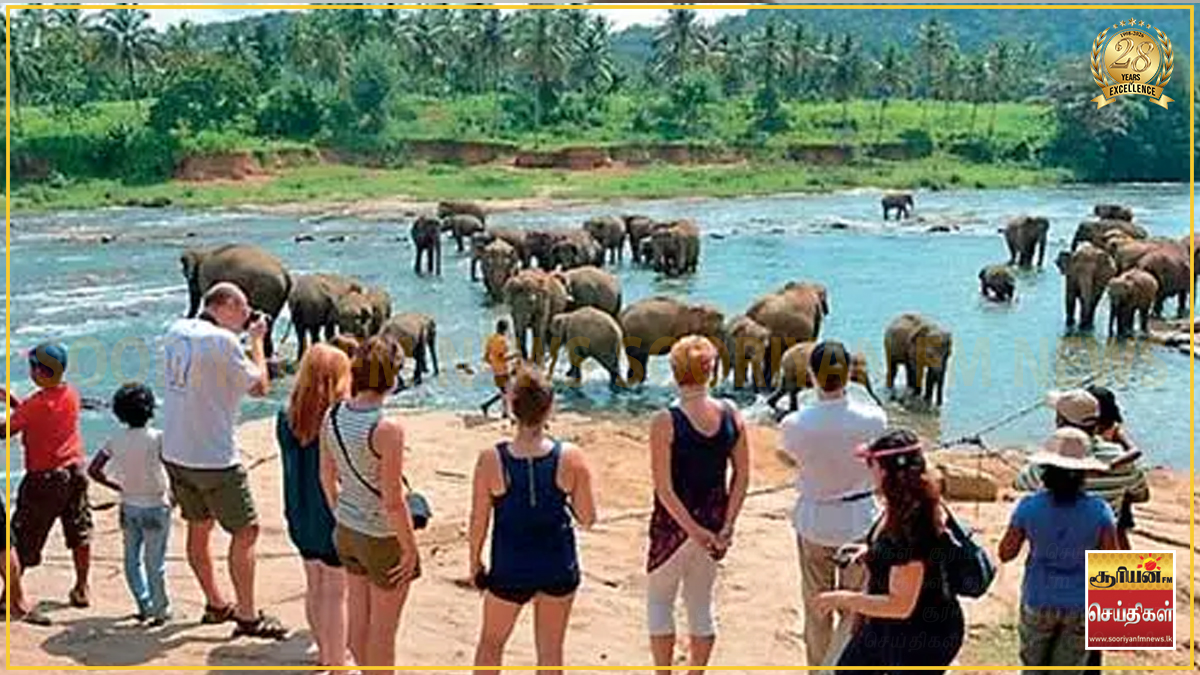 இலங்கைக்கு வருகை தந்த சுற்றுலாப் பயணிகளின் எண்ணிக்கையில் வீழ்ச்சி