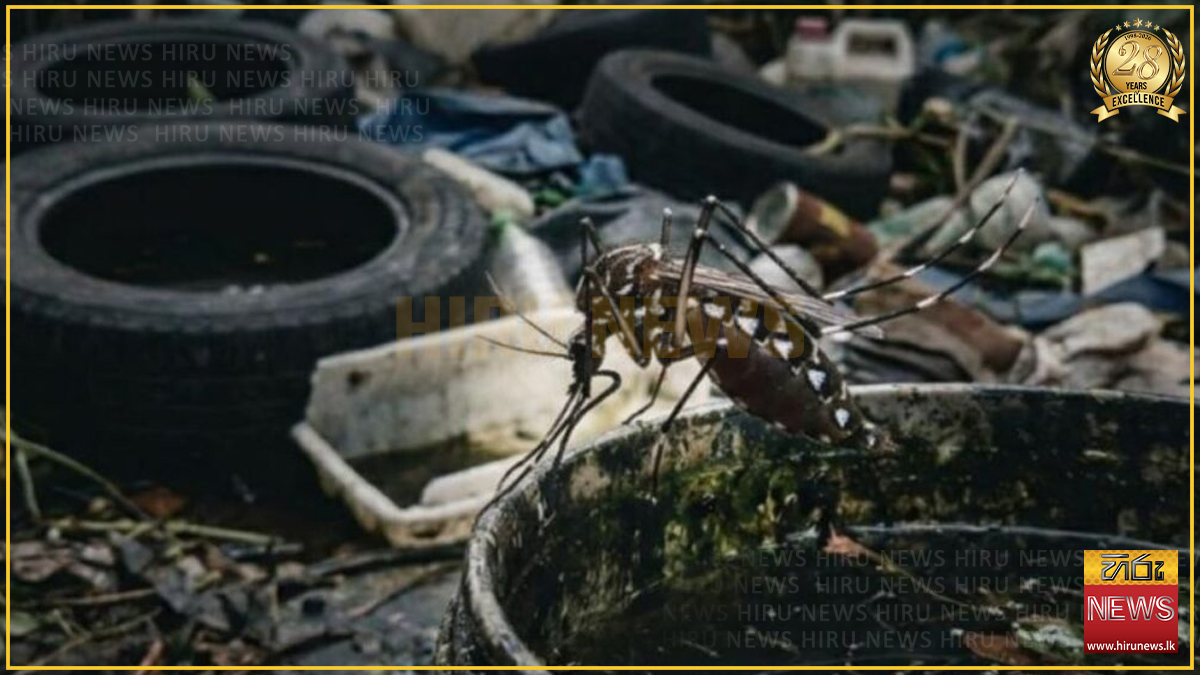 ඩෙංගු තවාන් දැමූ හෝමාගම ලංගම ඩිපෝවට දඩ