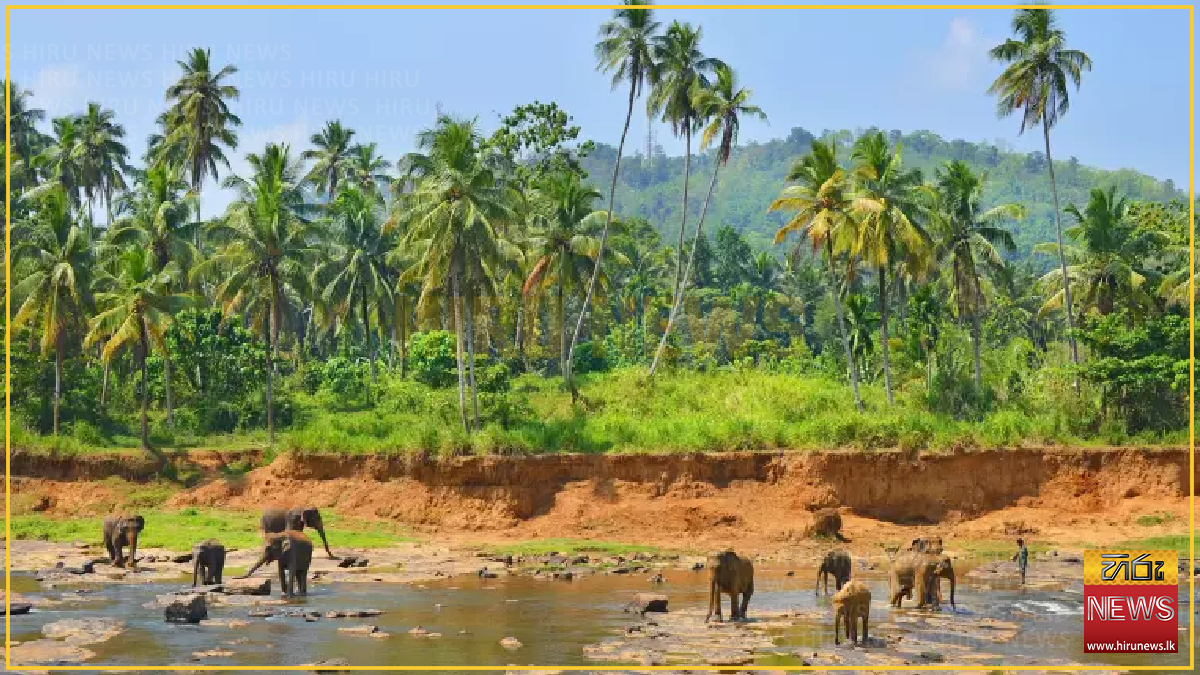Sri Lanka named world’s best island for 2026