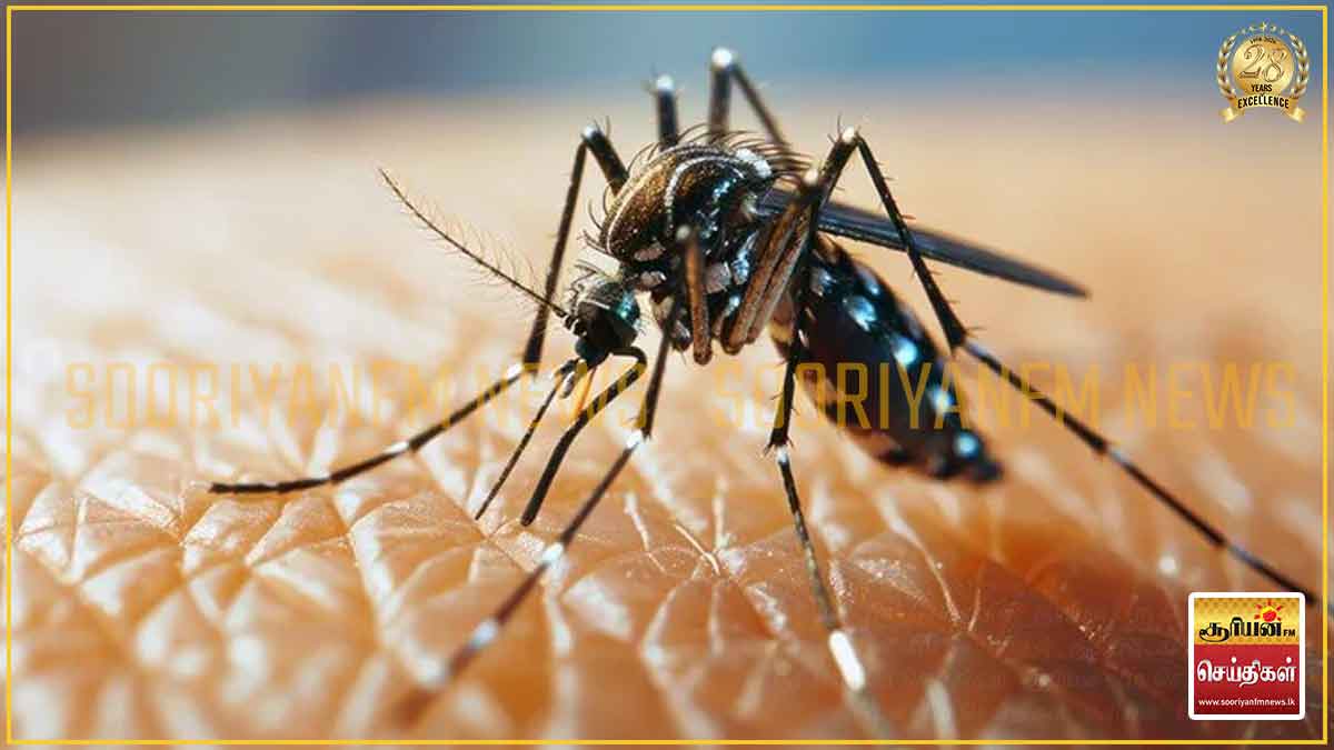 நாட்டில் டெங்கு காய்ச்சலால் உயிரிழந்தவர்களின் எண்ணிக்கை 39 ஆக அதிகரிப்பு