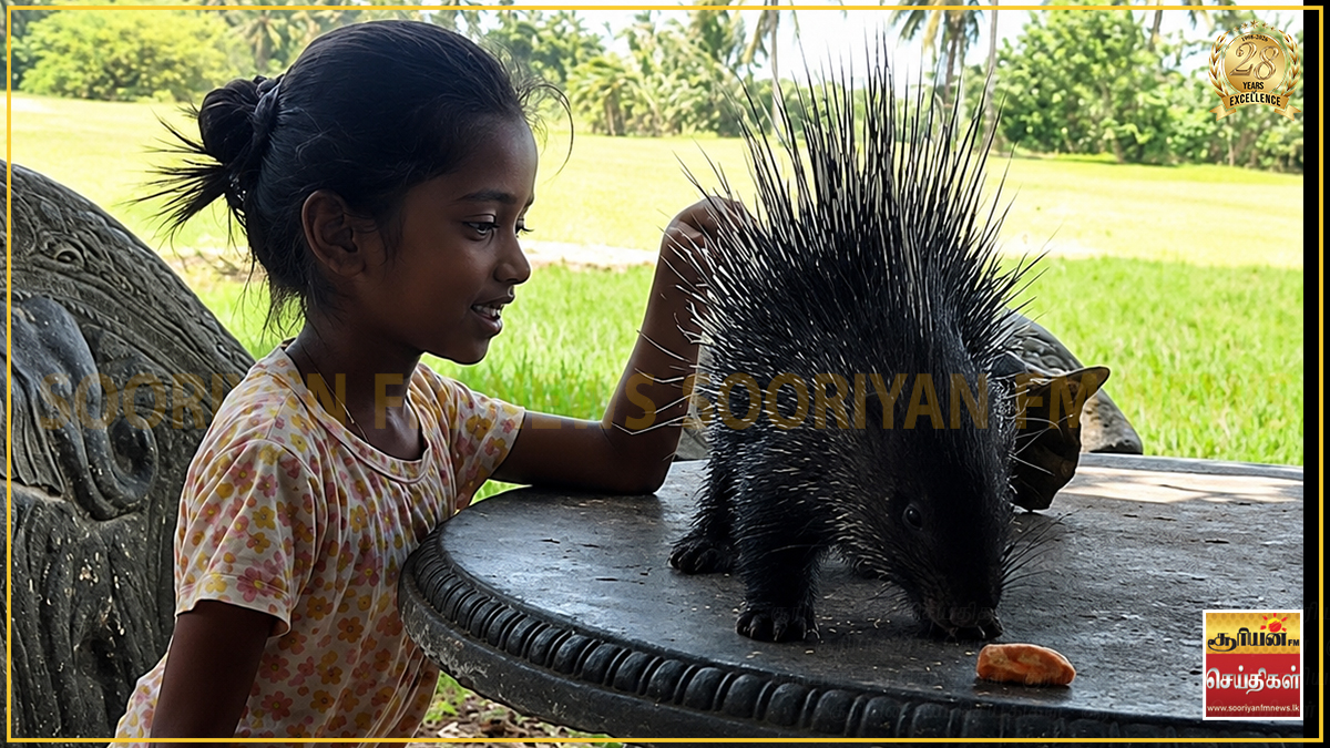 இதயங்களை நெகிழ வைத்த பாசச்சிறுமி ஸ்வேதா