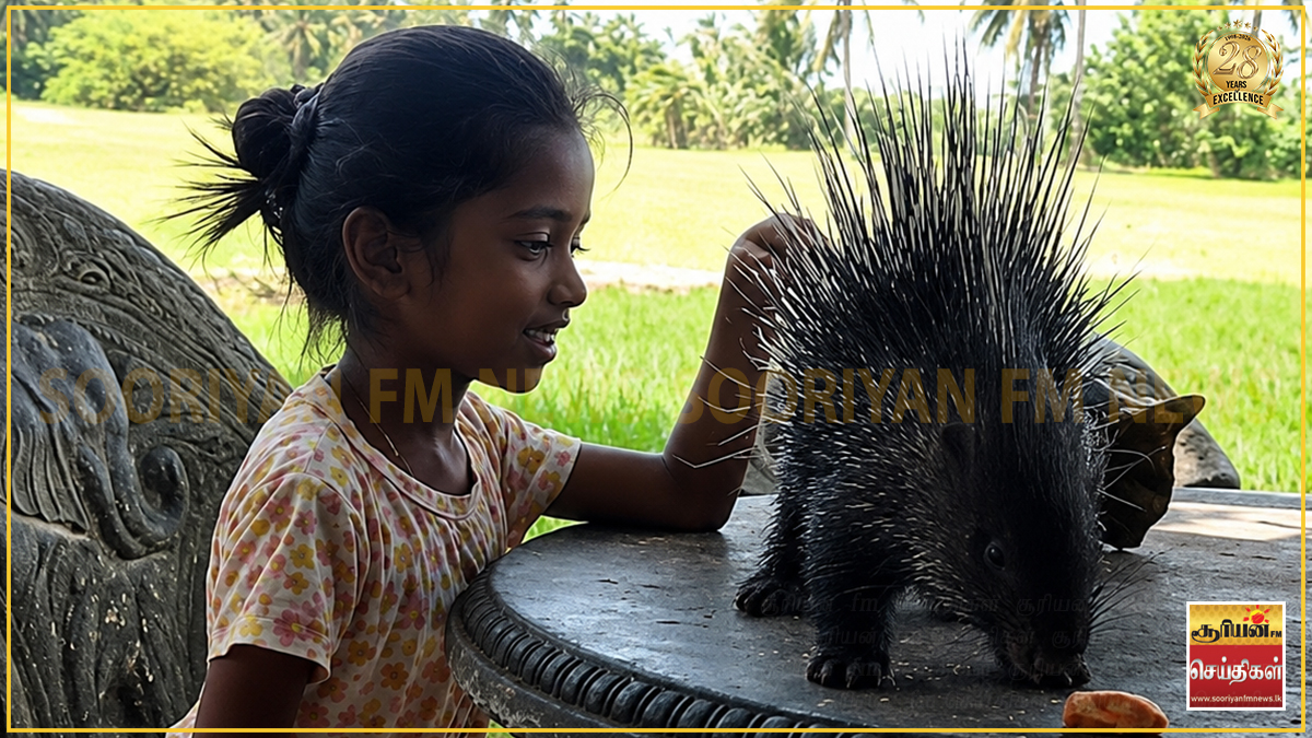 இதயங்களை நெகிழ வைத்த பாசச்சிறுமி ஸ்வேதா