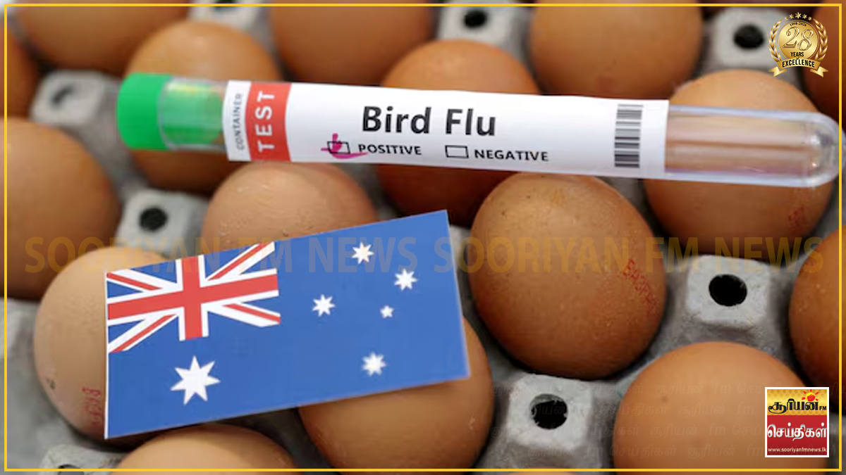 அவுஸ்திரேலியாவின் நியூ சவுத் வேல்ஸ் மாநிலத்தில் H5N1 பறவைக் காய்ச்சல் உறுதி!