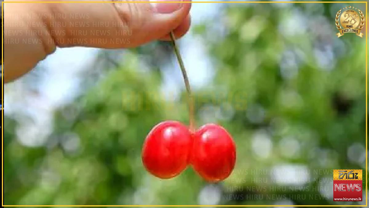 Japanese farmer seeks new opportunities in 'imperfect' fruits
