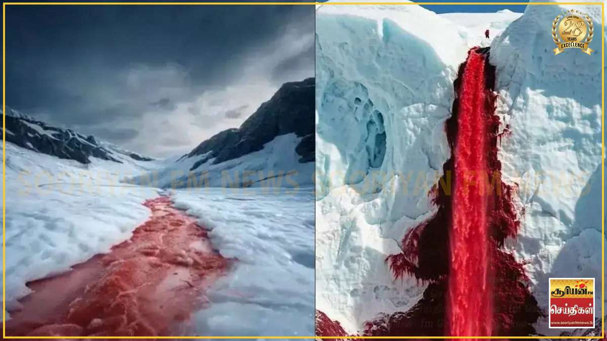 அண்டார்டிகாவின் 'இரத்த நீர்வீழ்ச்சி' மர்மம் உடைந்தது – அறிவியலாளர்கள் வெளியிட்ட புதிய விளக்கம்!