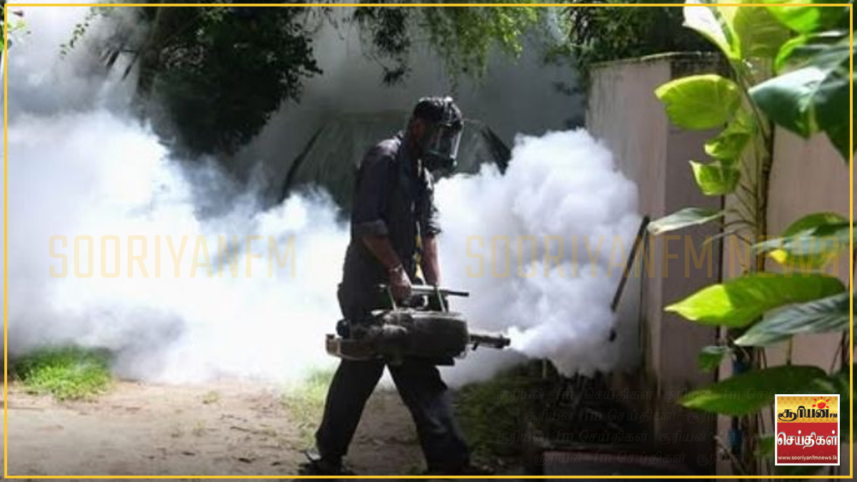 மேல் மாகாணத்தில் இன்று முதல் விசேட டெங்கு கட்டுப்பாட்டு நடவடிக்கை ஆரம்பம்