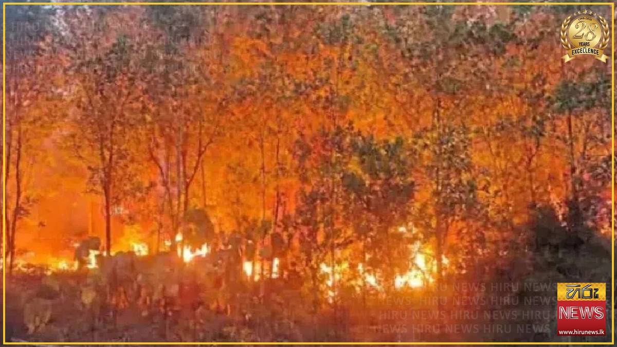 Over 13,000 bush fires recorded in Malaysia