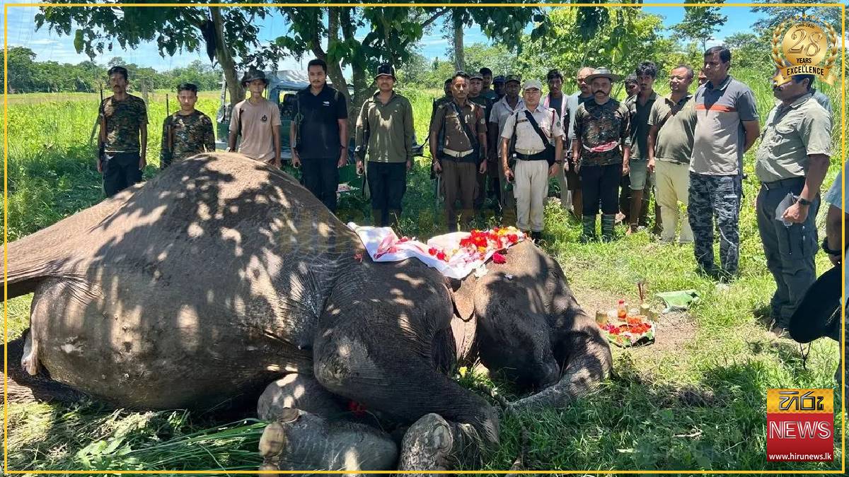 Assam's celebrated patrol elephant Joymala dies