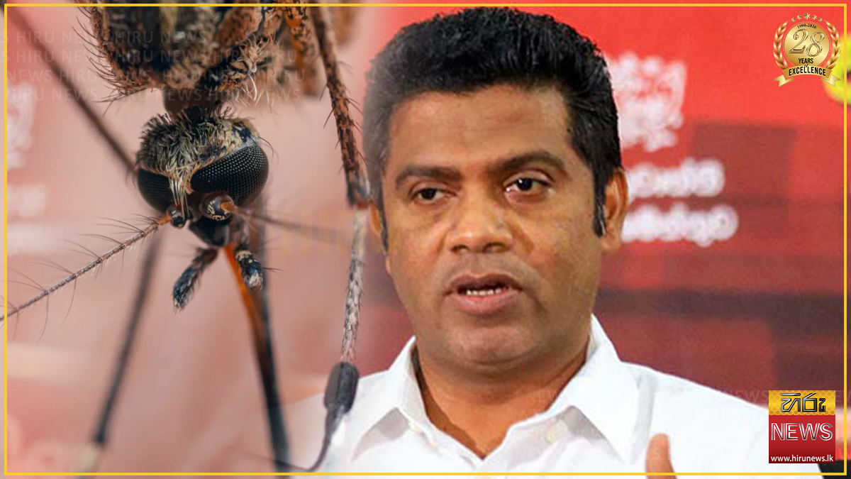 ඩෙංගු ගැන ඉදිරි සති 04 ත් අවදානම් - සෞඛ්‍ය ඇමති