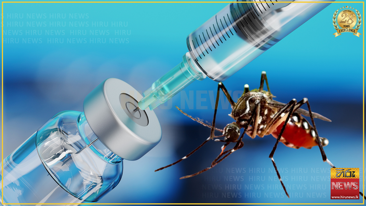 Dengue outbreak enters critical phase