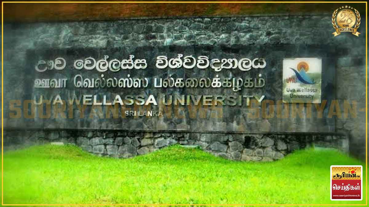 ஊவா பல்கலைக்கழக நியமன மோசடி: கையூட்டல் குற்றச்சாட்டில் கைது செய்யப்பட்டவருக்கு பிணை