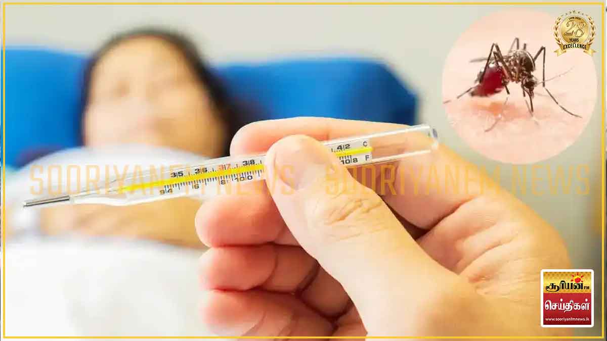 டெங்கு நோயாளர்களின் எண்ணிக்கை 63,839 ஆக அதிகரிப்பு: 42 பேர் உயிரிழப்பு