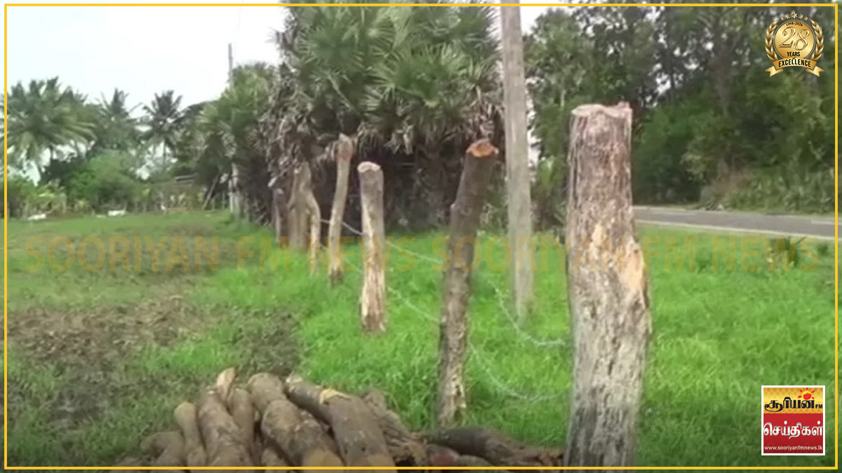 வடக்கு - கிழக்கு காணி அபகரிப்பு குற்றச்சாட்டு : முற்றாக மறுக்கும் அரசாங்கம்!