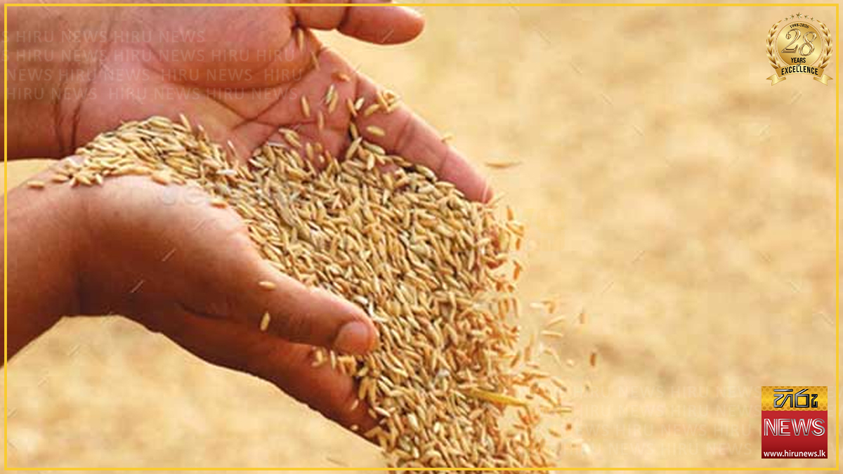 යල කන්නයේ වී මිලදී ගැනීම් ජූලි 15 ඇරඹේ