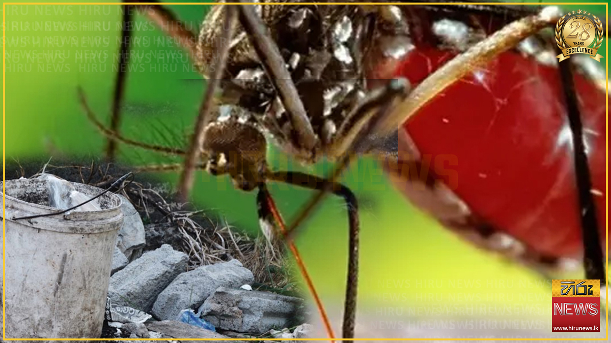 ගෙවුණු සතිය තුළ ඩෙංගු තවාන් දැමු ගොතටුවේ පුද්ගලයන් 50කට ලක්ෂ හයක දඩ