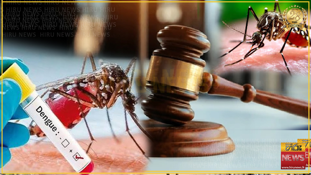 ගෙවුණු මාසය තුළ ඩෙංගු නඩු 634ක් : එක්කෝටි දෙලක්ෂ විසිපන්දහසක දඩ