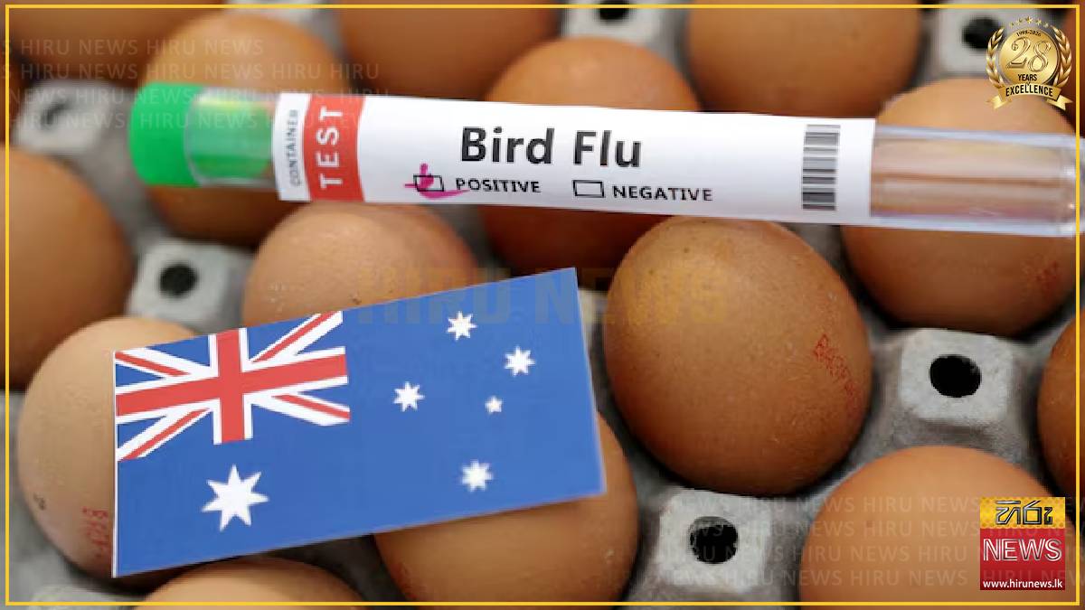 Australia records first seabird H5N1 infection