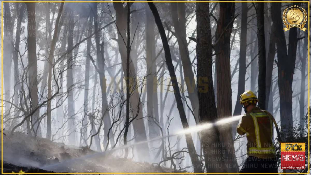Twelve dies in wildfire in Spain as heatwave continues