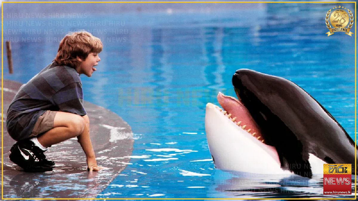 ‘Free Willy’ is getting a new movie remake
