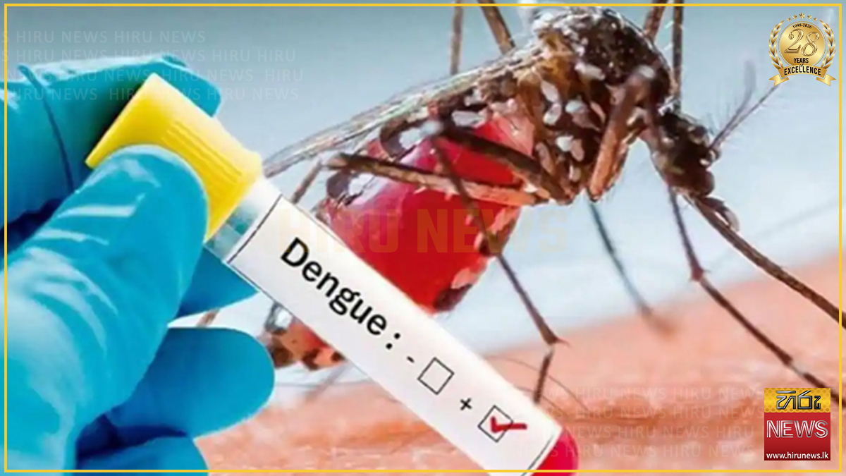 වැඩිම ඩෙංගු රෝගීන් ගම්පහෙන් - සමස්තය 66,000 ඉක්මවයි