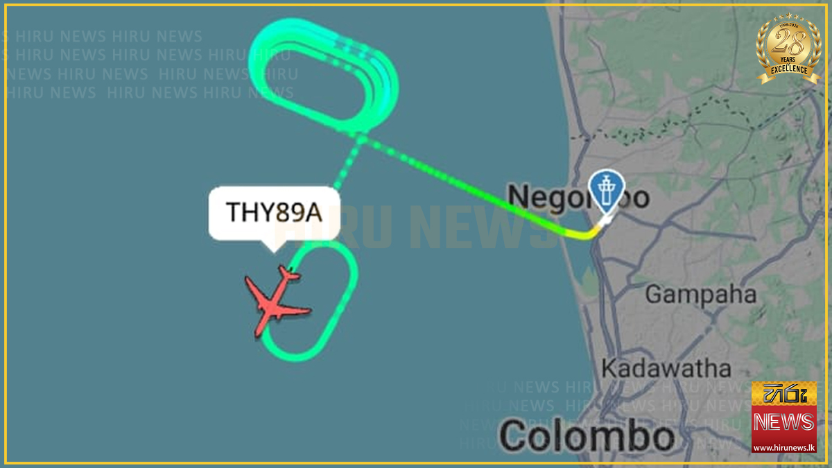 කුරුල්ලෙක් ගැටී ගුවන් යානයක් හලාවත අහසේ රවුම් ගහයි