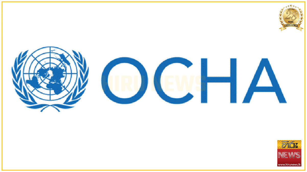 Rate of displacement in occupied West Bank doubling, UN says