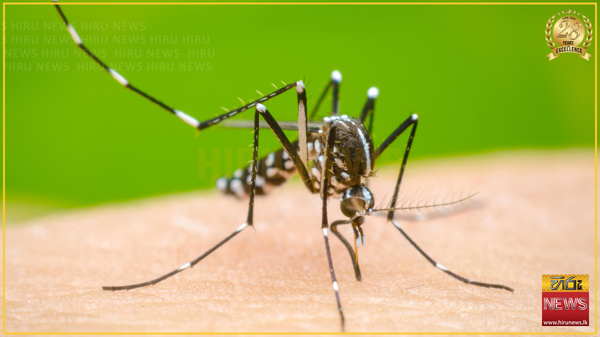 Over 67,000 battling with dengue, 47 dead