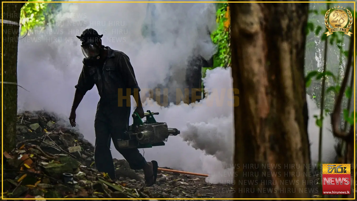 ජූලි මාසයේ මුල් දින 10ට ඩෙංගු රෝගීන් 11,000 පනී : දිවයිනේ අධි අවදානම් කලාප 175ක් දක්වා ඉහළට